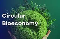 /bioeconomy.jpg